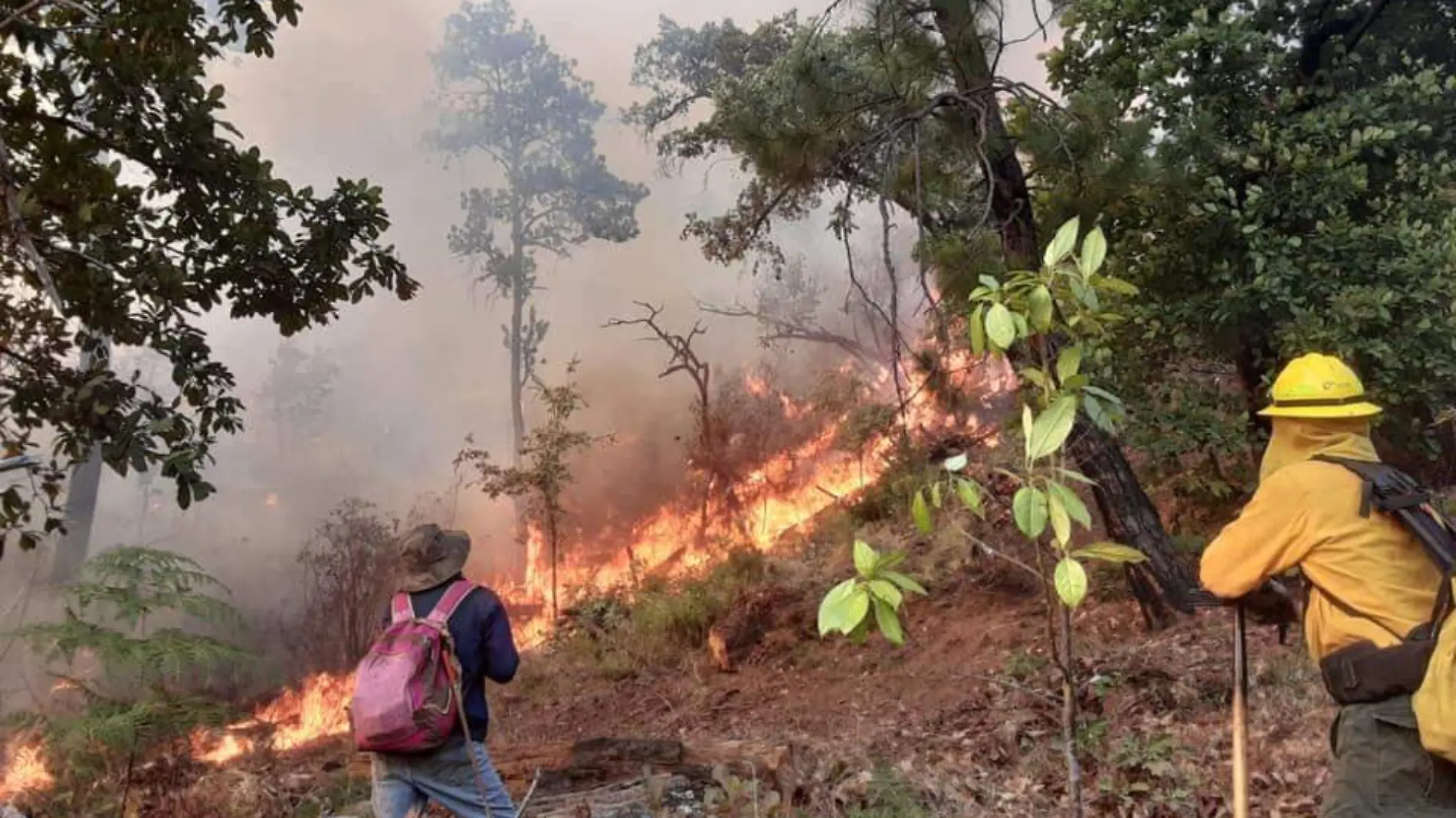 incendio patzcuaro